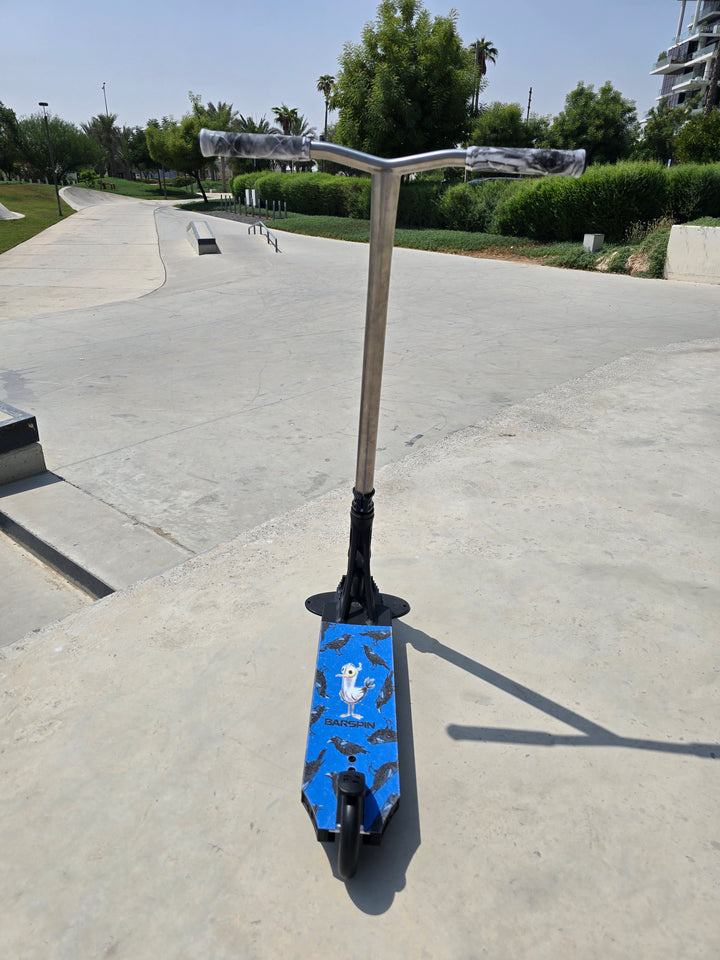 Custom Park scooter