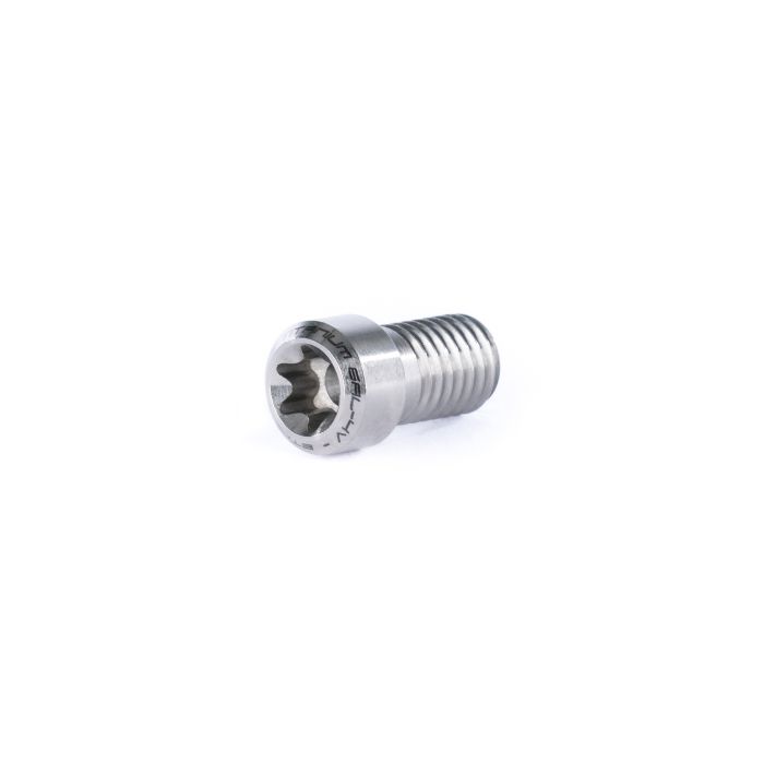 Titanium Clamp Screw